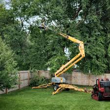 Reliable Tyro, NC Tree Removal and Landscaping Services Solutions